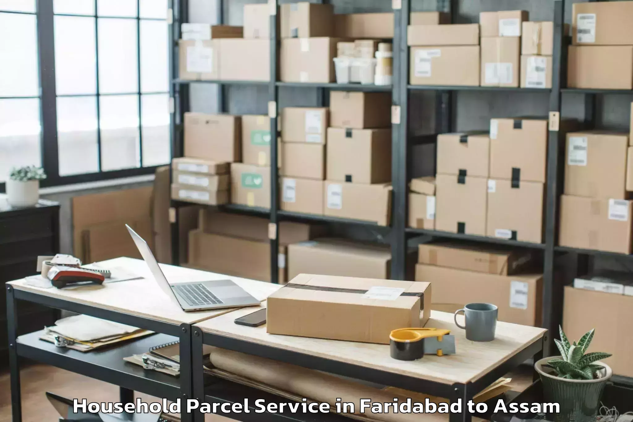 Book Faridabad to Pathorighat Pt Household Parcel